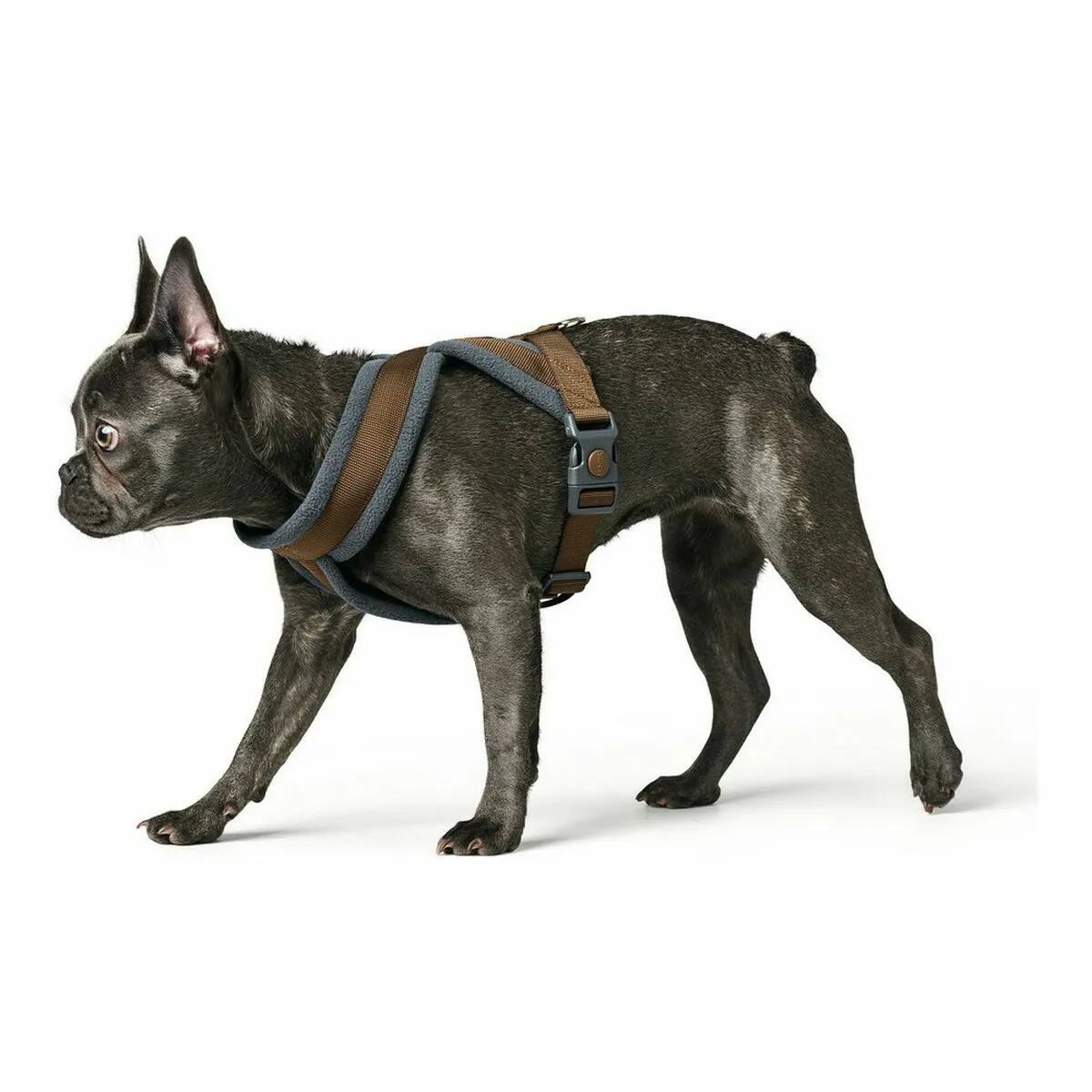 Meilleurs prix pour Harnais pour chien London Comfort - HUNTER - Taille 52-62 cm - Noir - Moyen - Extérieur