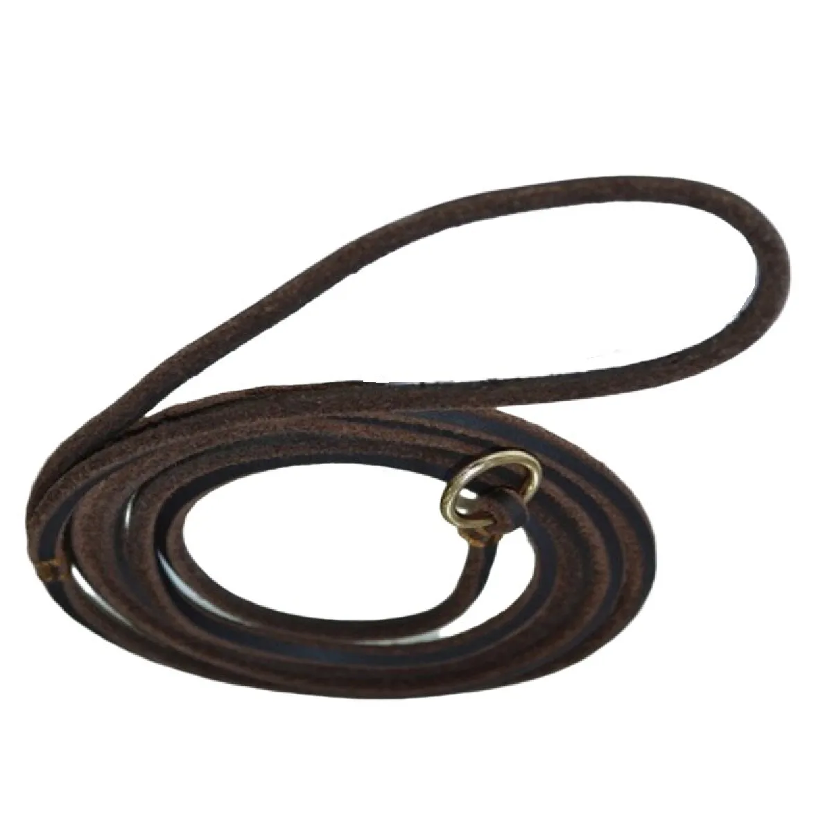 Comparer les prix de Laisse antidérapante Universal pour chiens