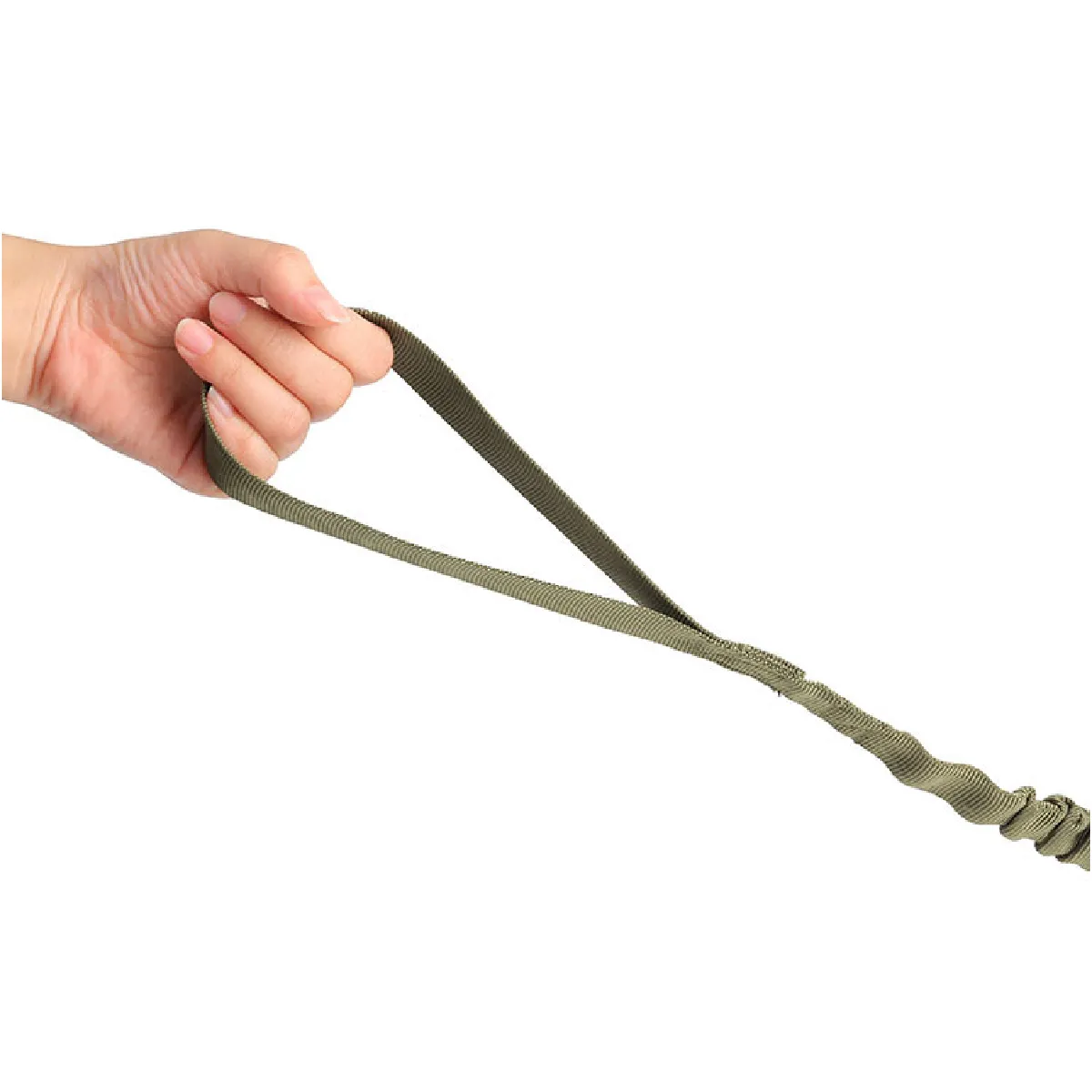 Comparer les prix de Laisse élastique pour gros chien - Vert