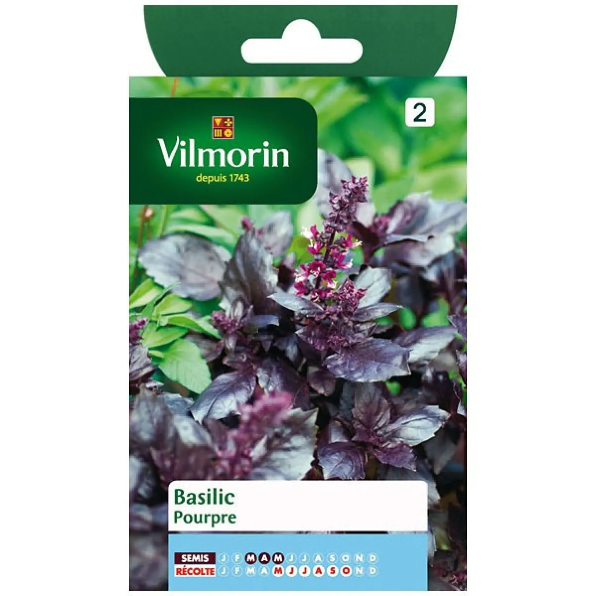 Vilmorin Graines Basilic Pourpre