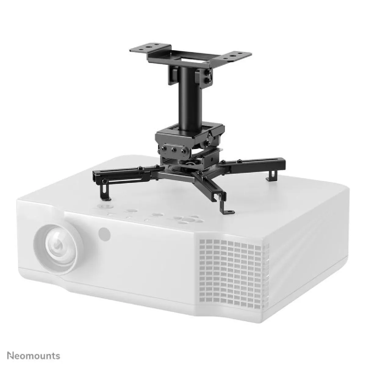 Neomounts Noir Support Écran Orientable