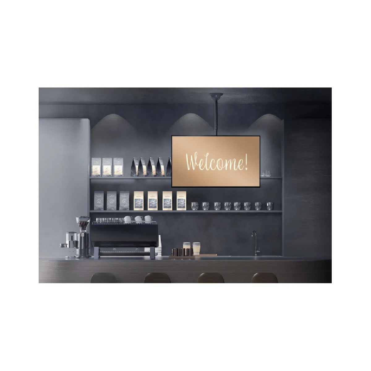 Digitus Noir Support Plafond Pour Écran - 50 Kg
