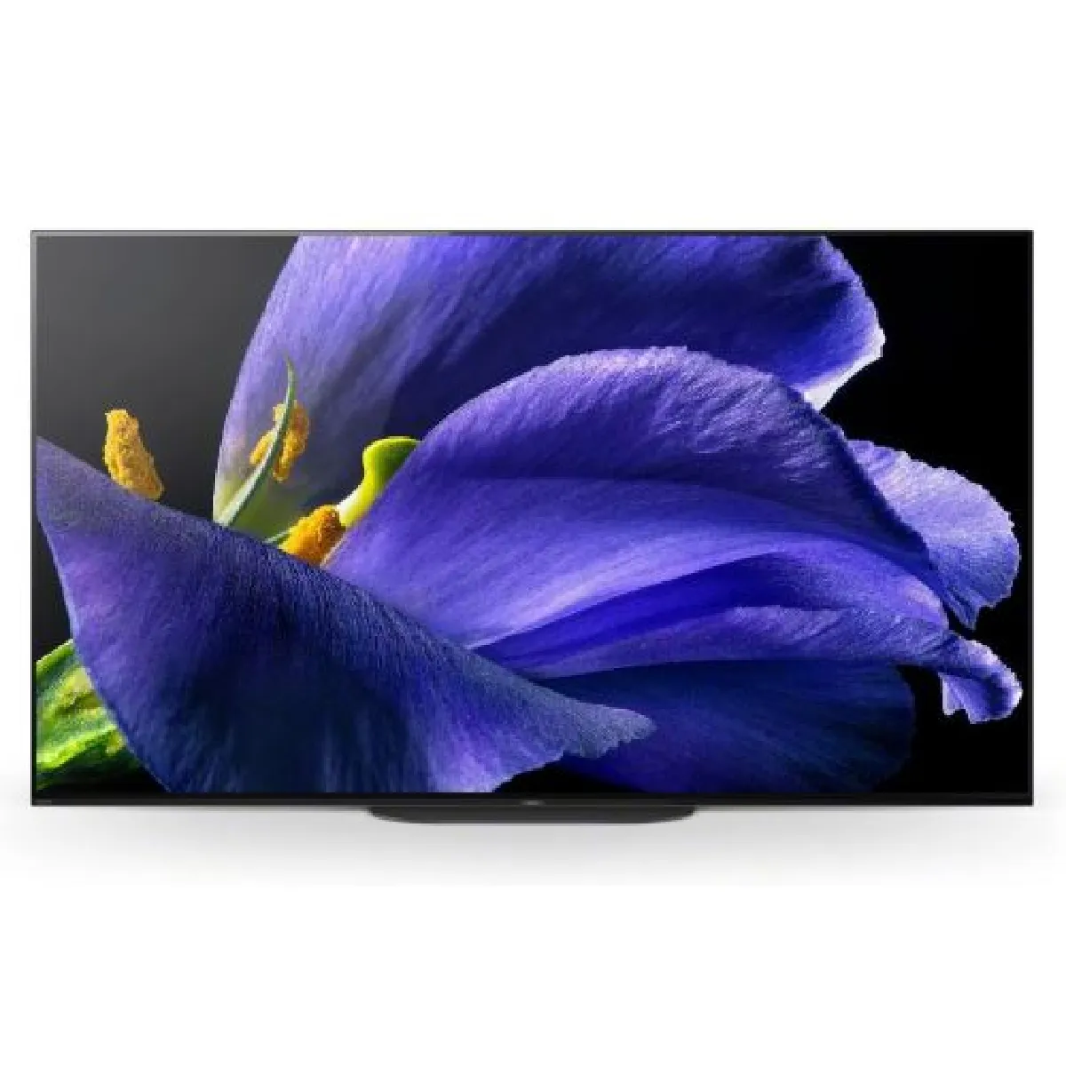 Sony KD65AG9 65