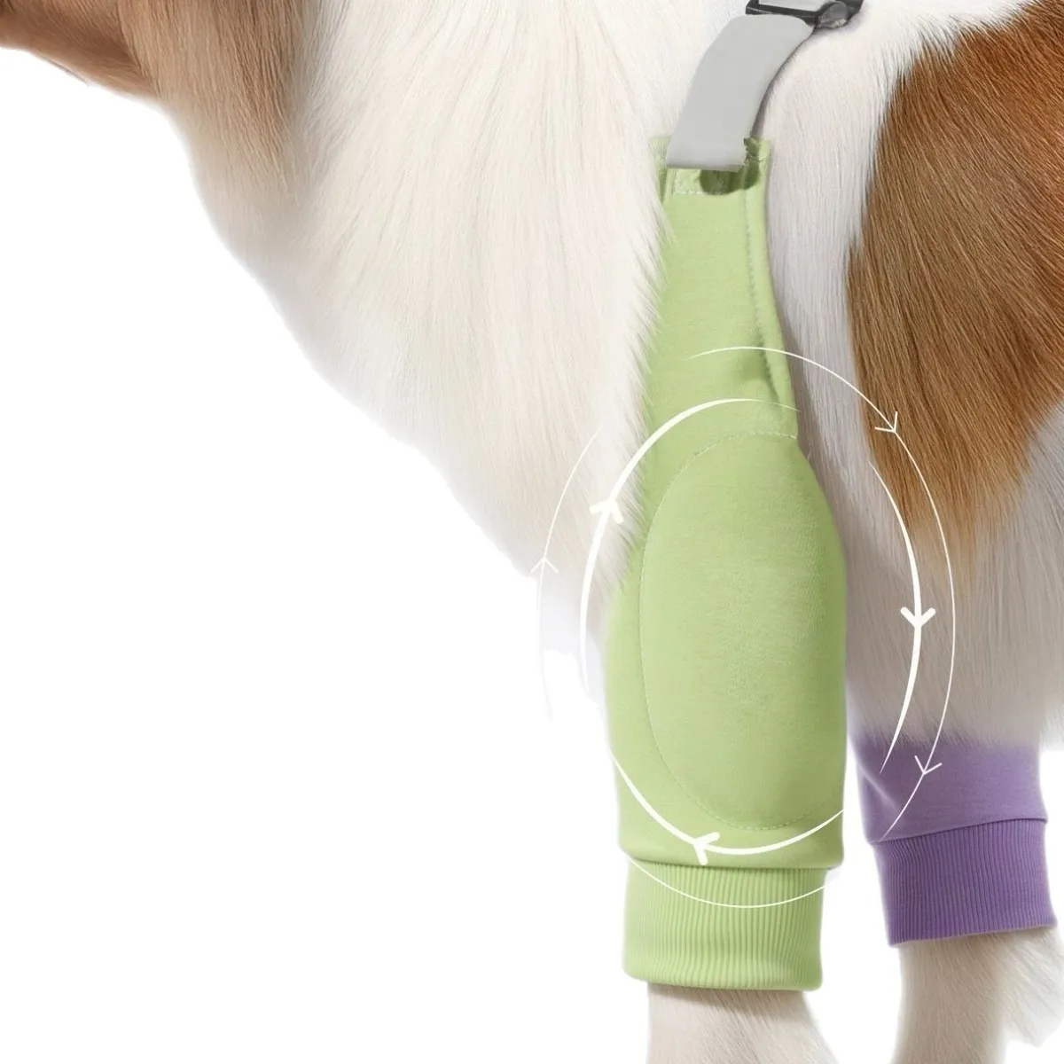 Protection coude-patte avant toutes saisons pour chien – Manchon rembourré anti-abrasion a