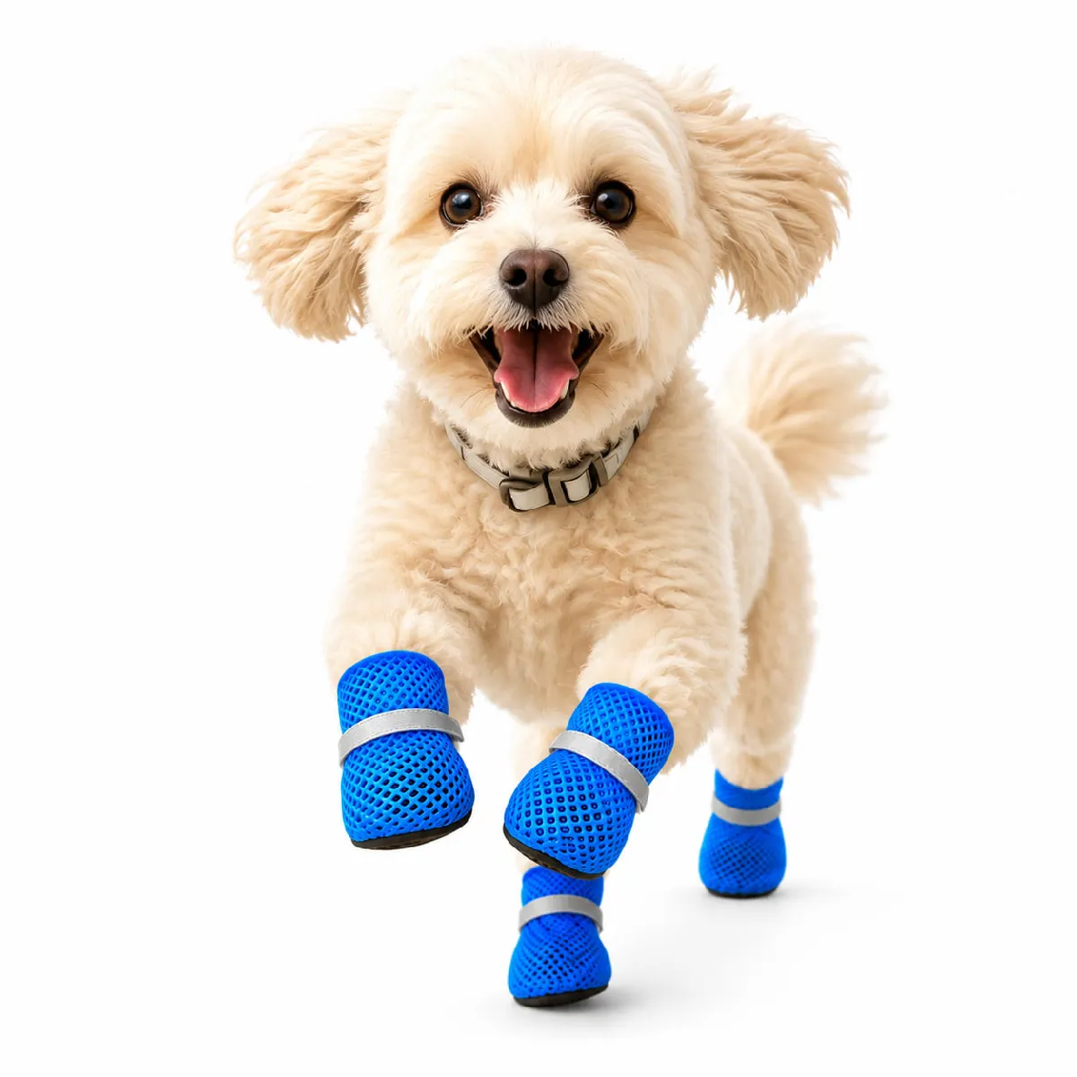 Chaussures d'été pour animaux Pack de 4 – Chaussures pour petits chiens en maille respiran