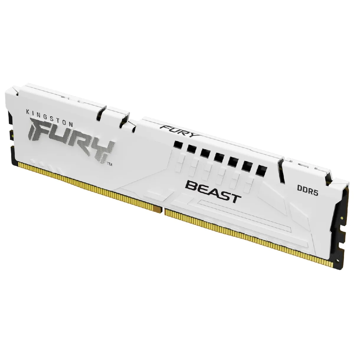 Kingston Technology Fury Beast 16 Go 5200 MT/s DDR5 CL40 DIMM White XMP