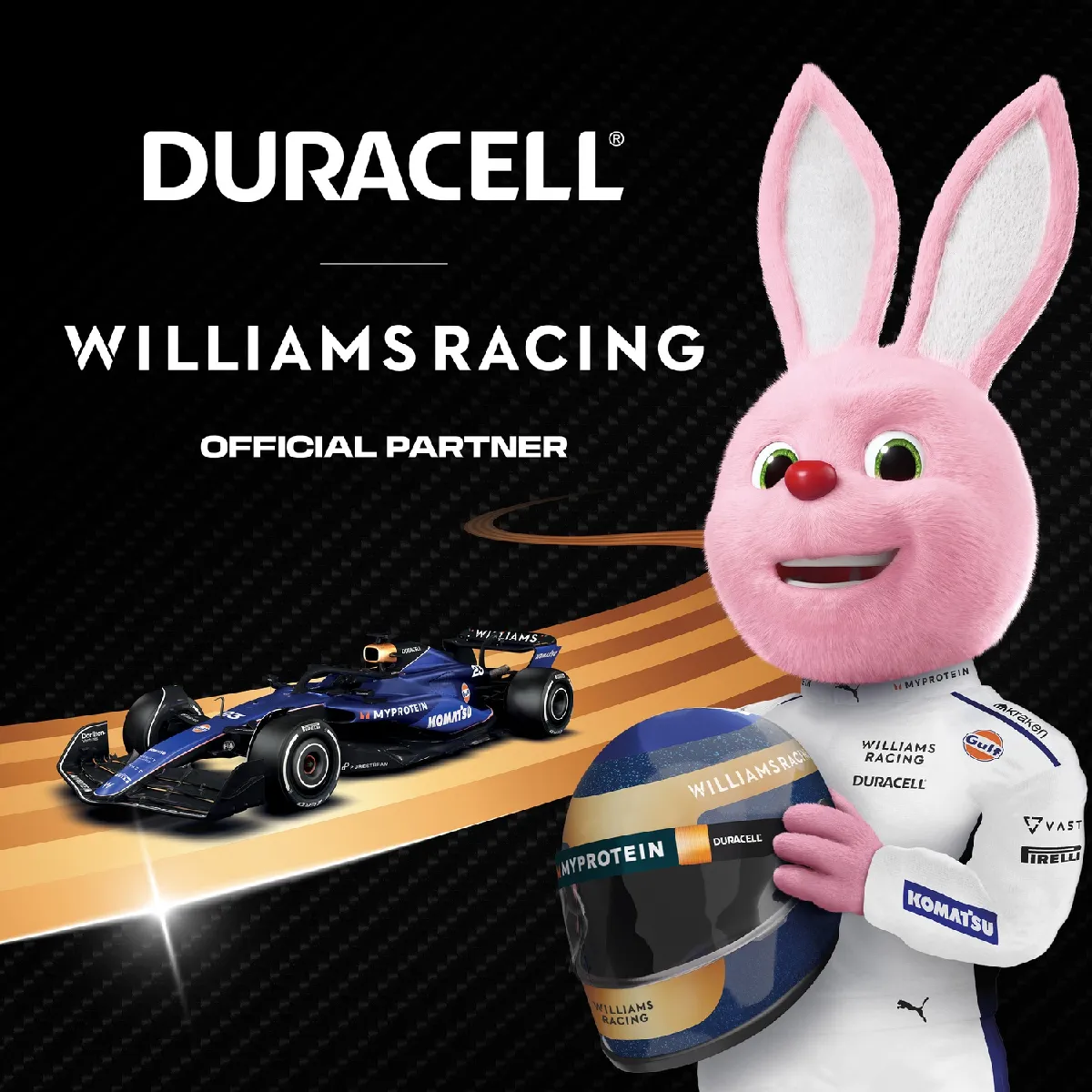 Duracell Piles Plus 100% AAA x12