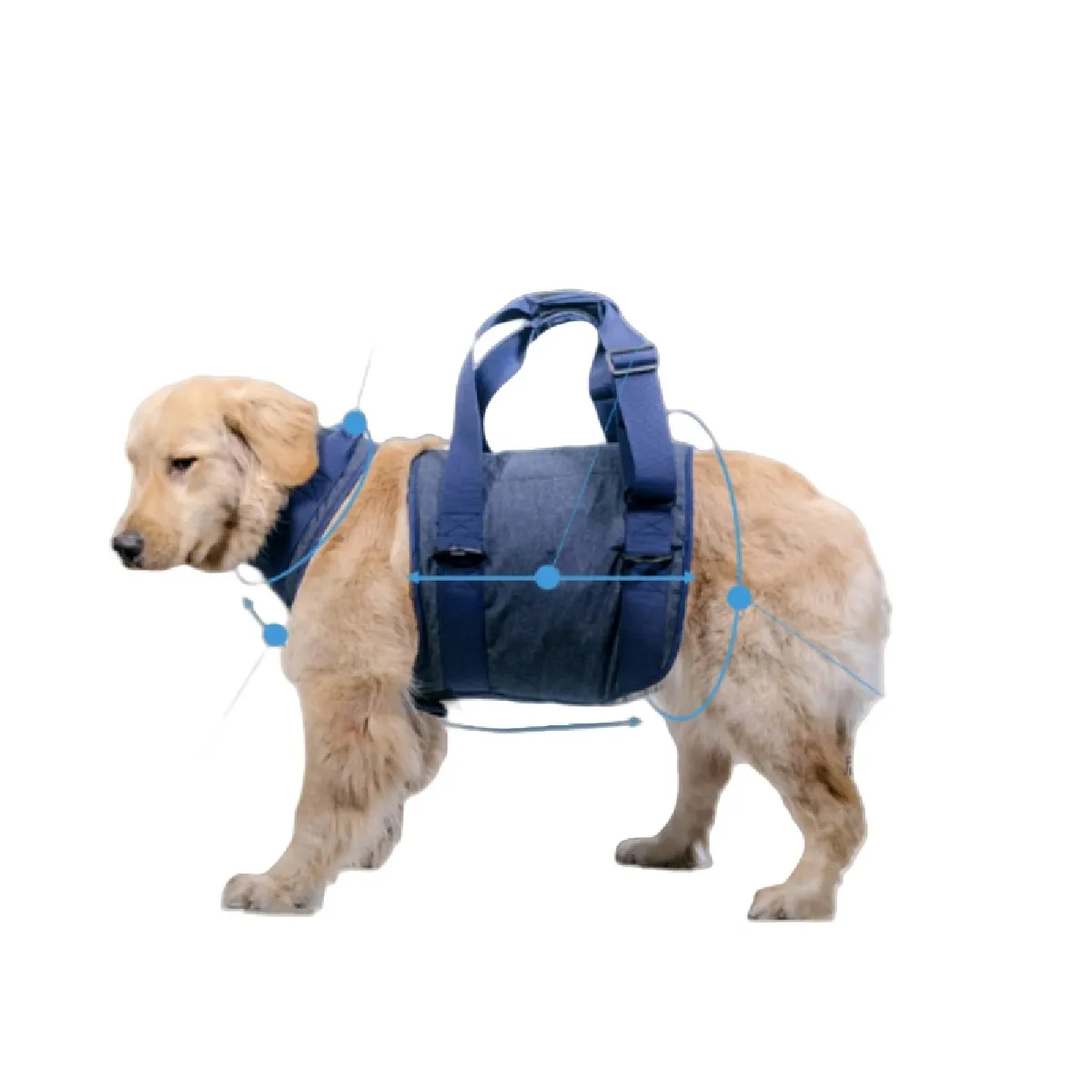 Harnais de soutien pour chiens âgés S