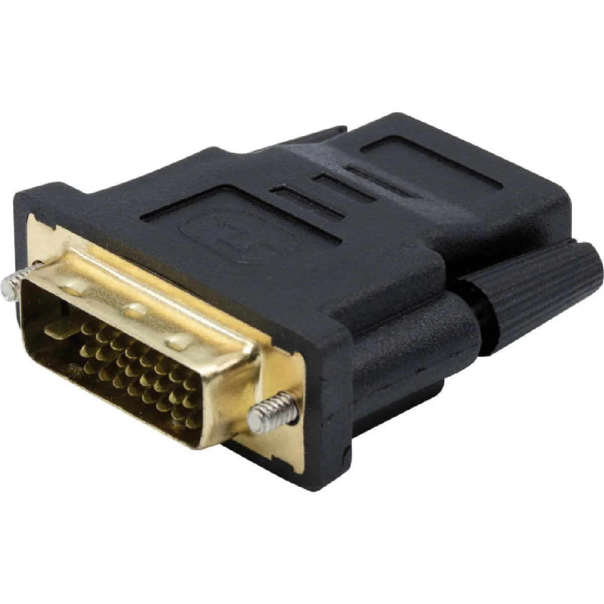Dexlan Câble Vidéo Convertisseur