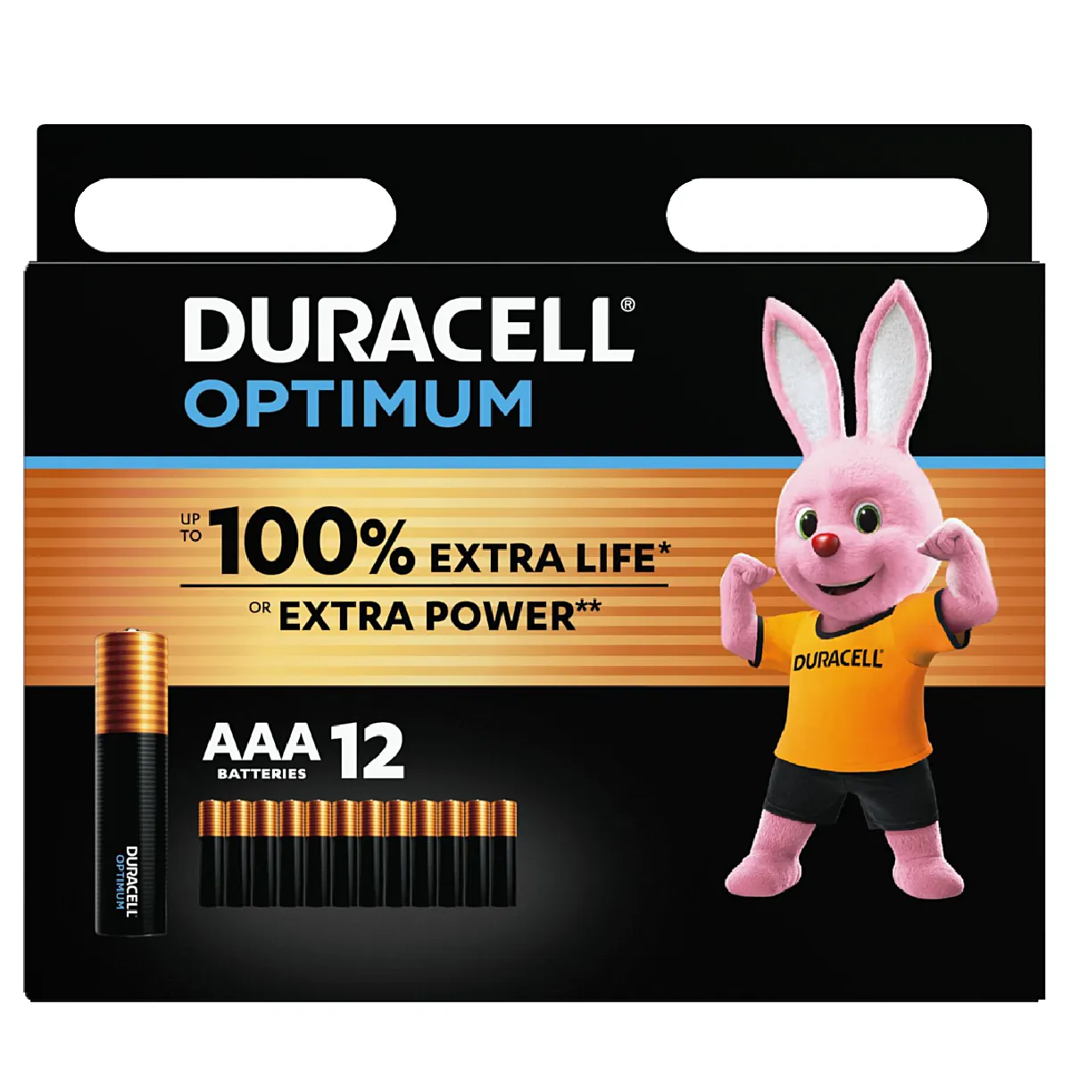 Duracell piles AAA - lot de 12