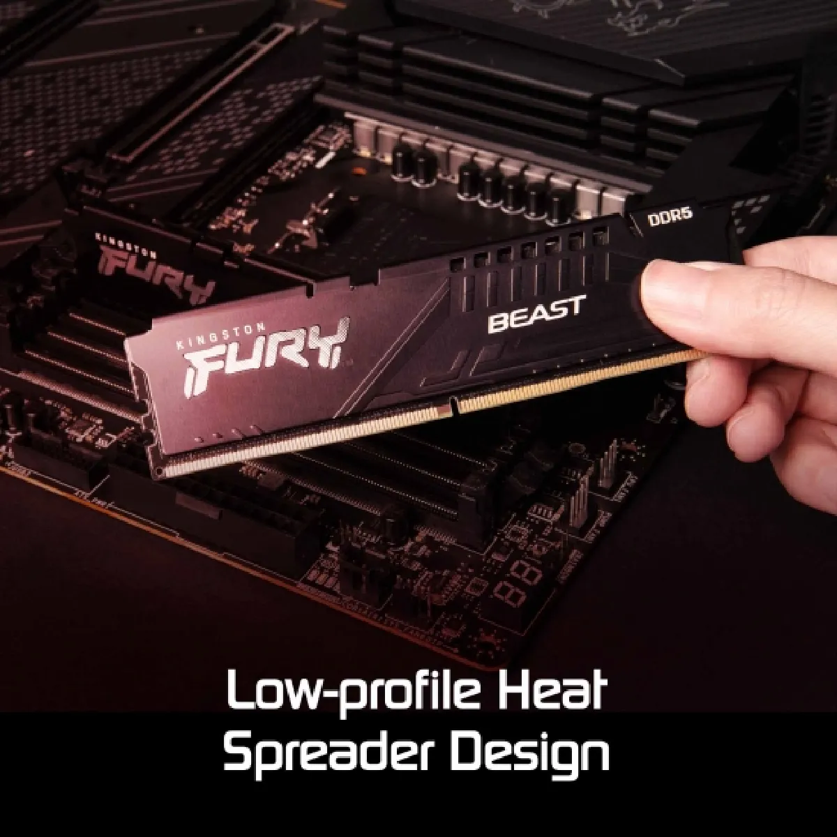Kingston FURY Beast 64GB DDR5 Black