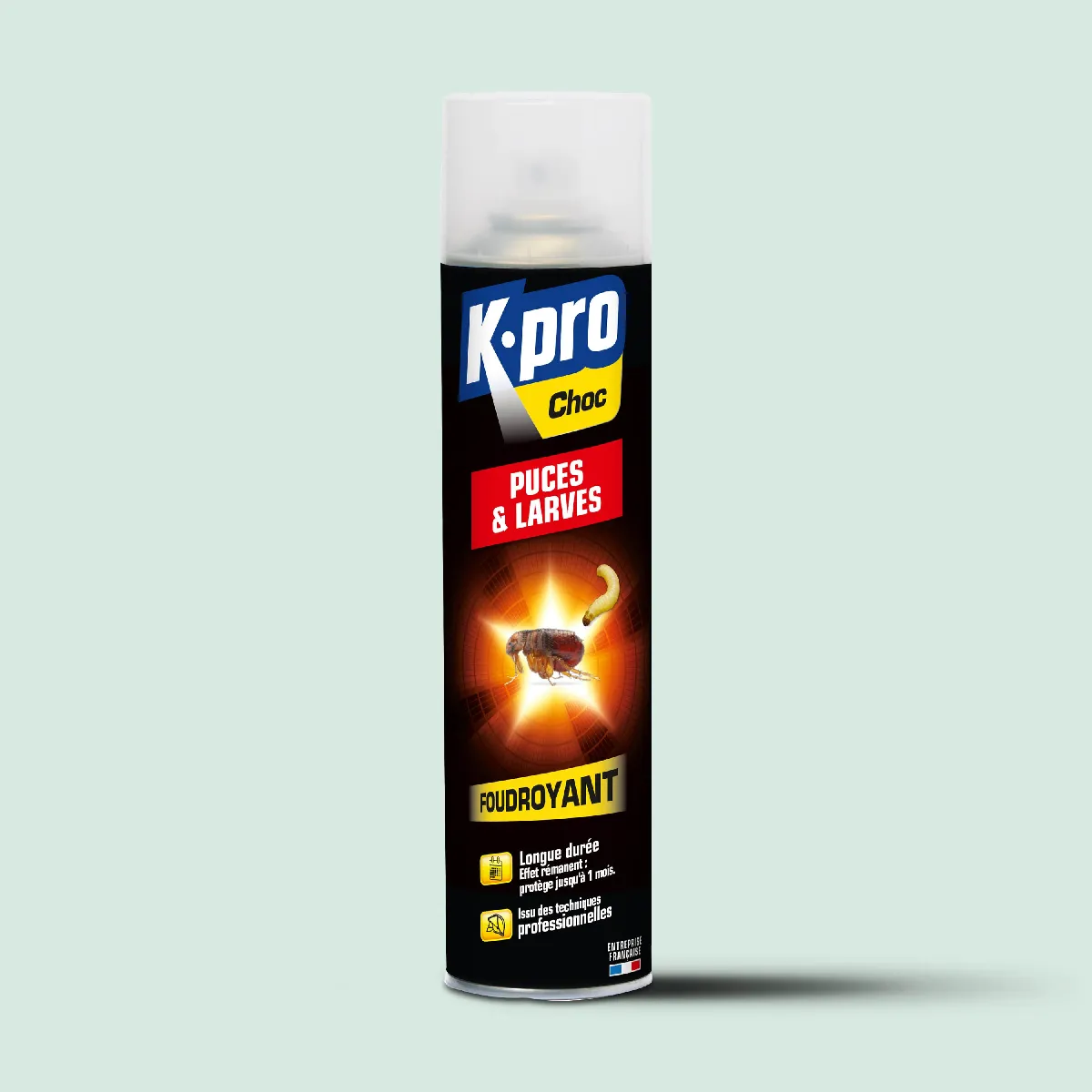 Kapo Aérosol Foudroyant