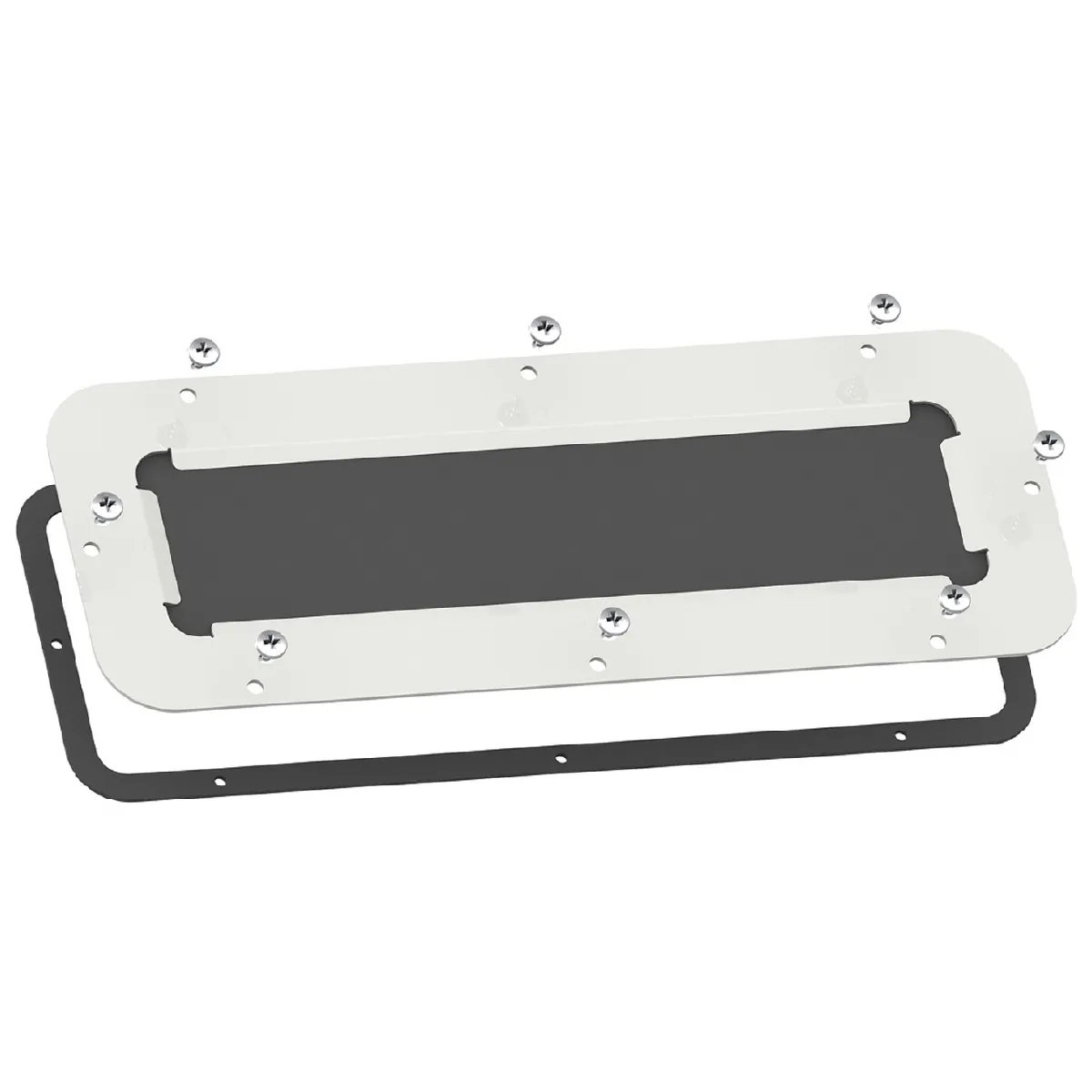 Schneider Electric Plaque NSYTLDME - vue 2