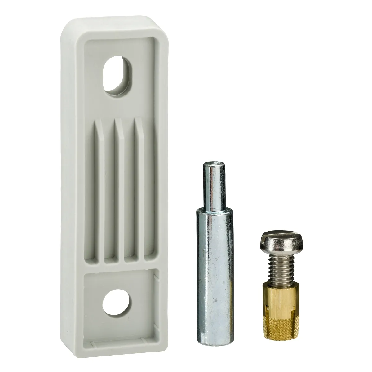 Schneider Electric Fixations NSYPFXPLM - vue 3