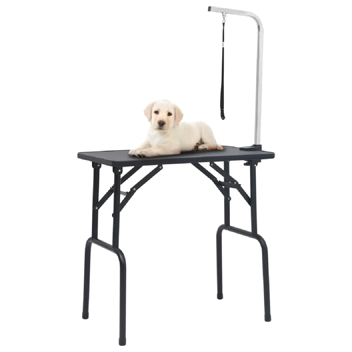 Non Communiqué Noir Table De Toilettage Réglable Pour Chiens Avec 1 Boucle - Image 3
