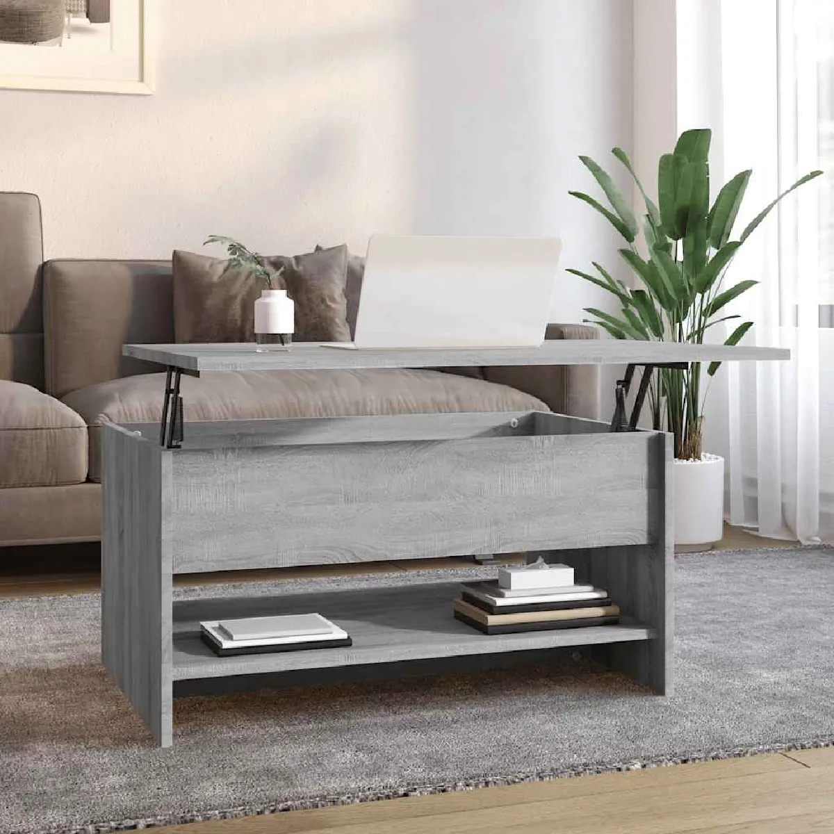 VIDAXL - Table basse - 80x50x40 cm - Gris - Image 3
