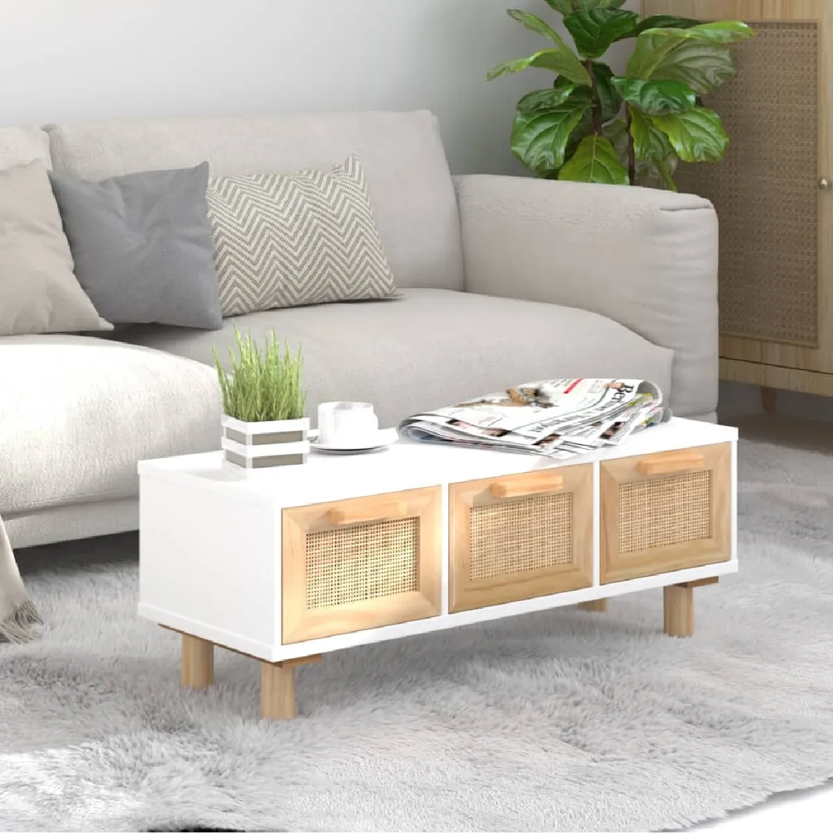 VidaXL Table Basse 80x40x30 cm Blanc