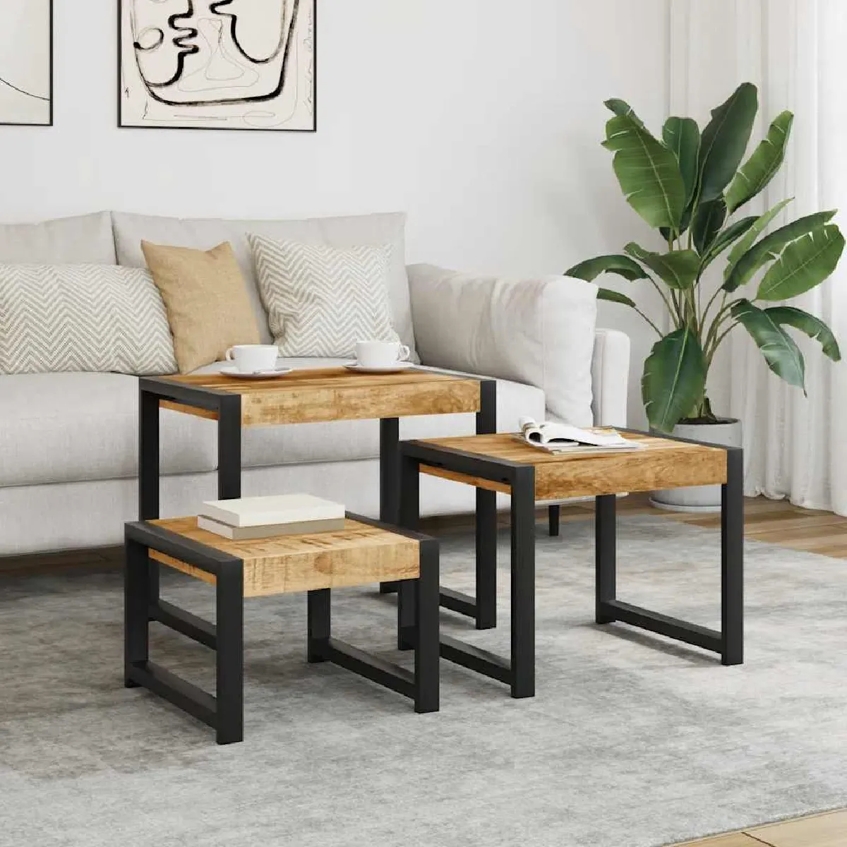 VIDAXL - Ensemble de 3 Tables Basses - Bois de Manguier Massif - Image 3