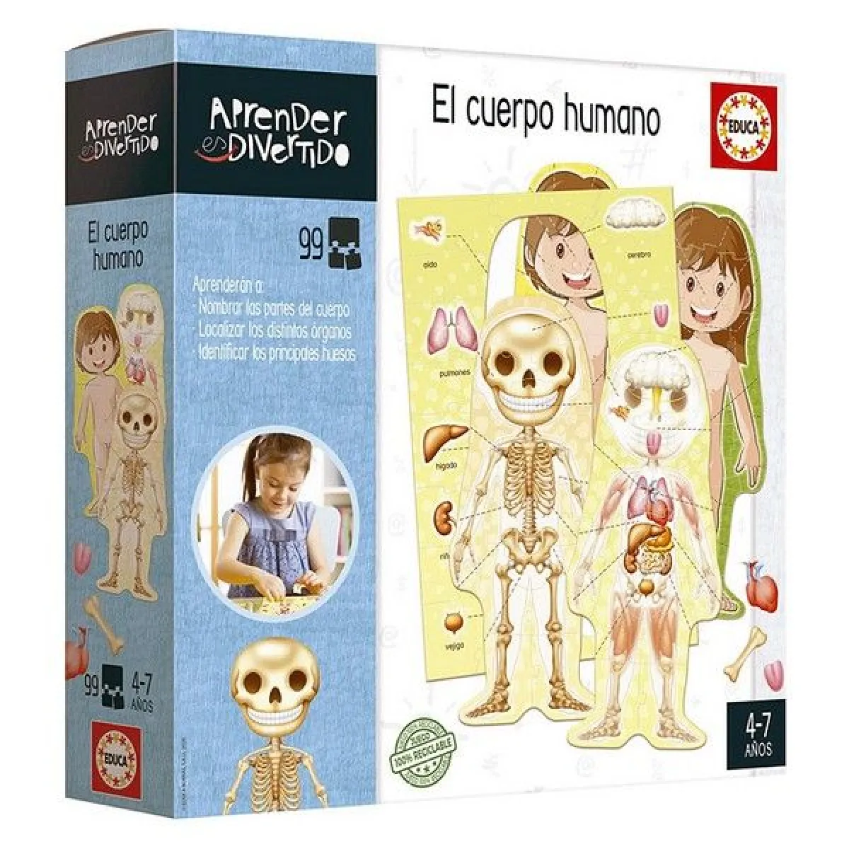 Educa Borras Educa Jeu Éducatif Anatomie Enfant