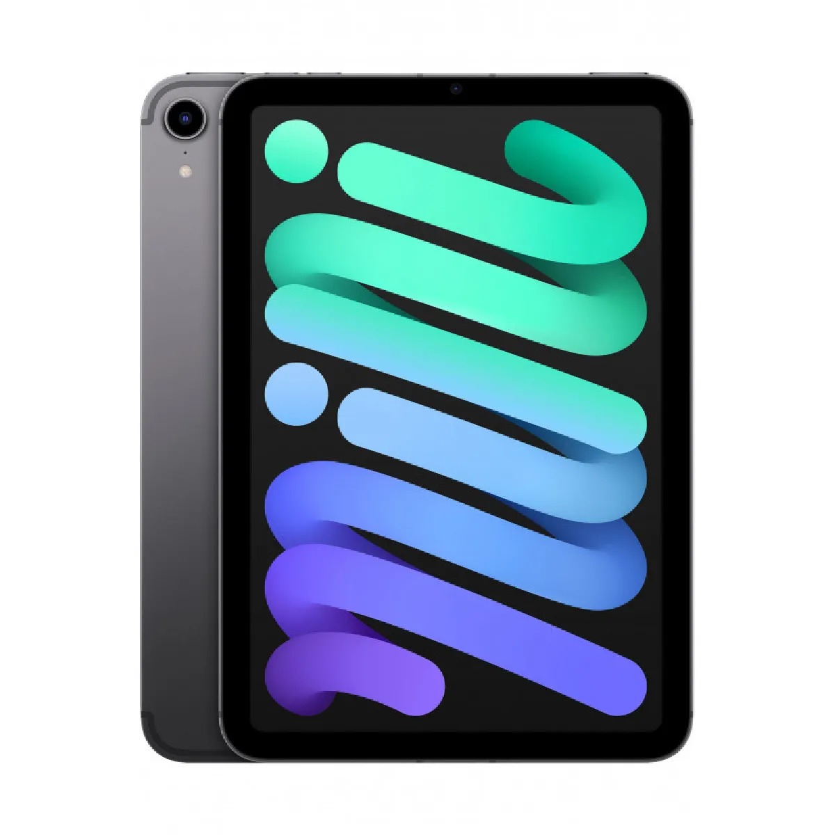 Apple iPad Mini 8,3 64 Go Gris sidéral 5G 6 ème génération 2021