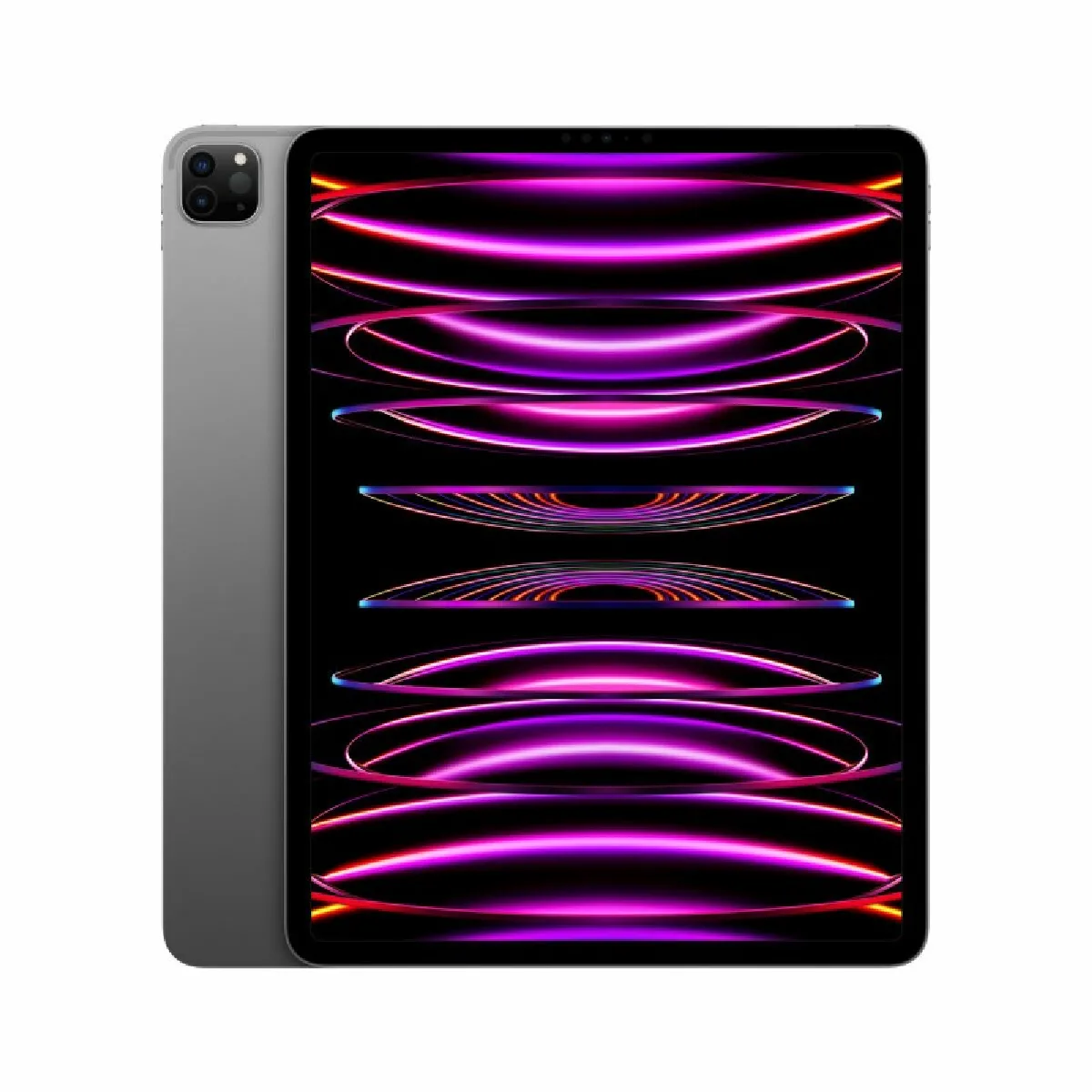 Apple iPad Pro - 12.9 pouces - Gris
