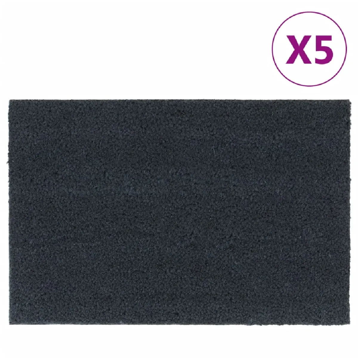VidaXL Tapis de porte coco