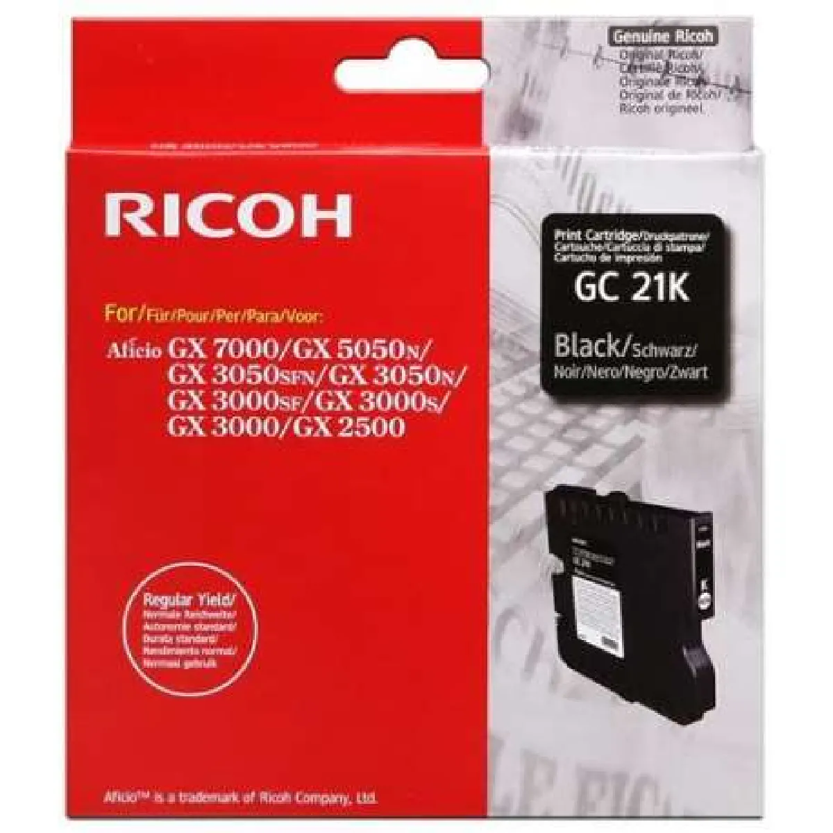 Ricoh Noir Gc 21K