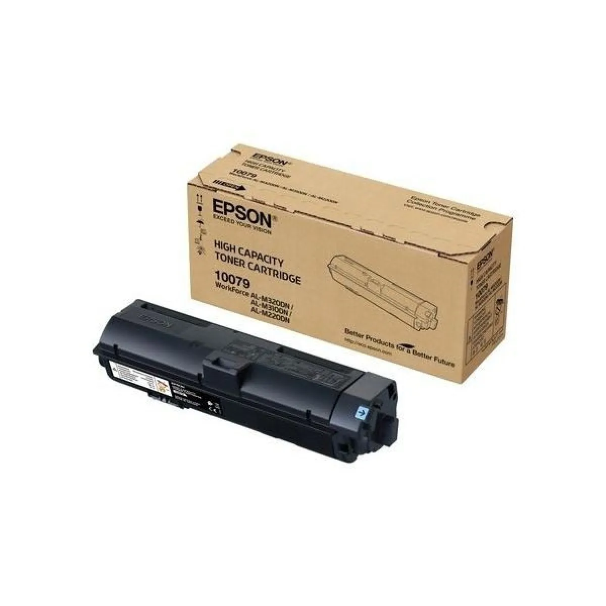 Epson 10079 C13S110079