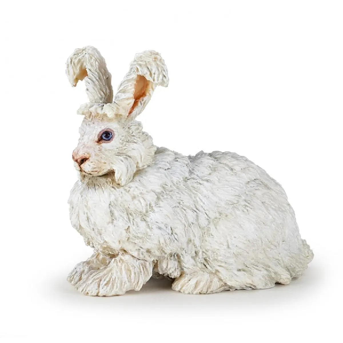 PAPO  Lapin Angora