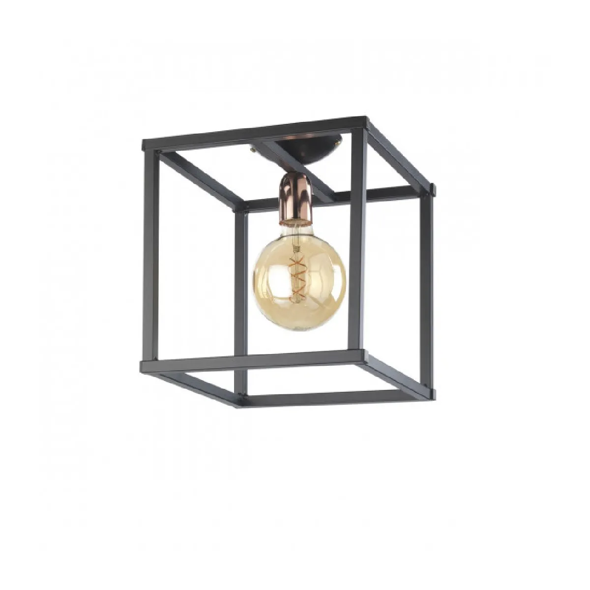 Lumière Noir Lumiere Floki