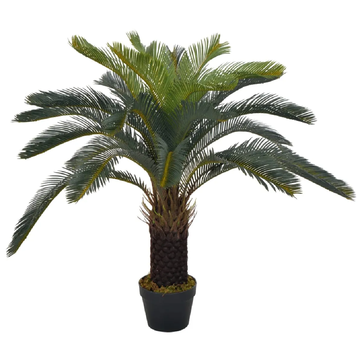 vidaXL Palmier Cycas - vue 2