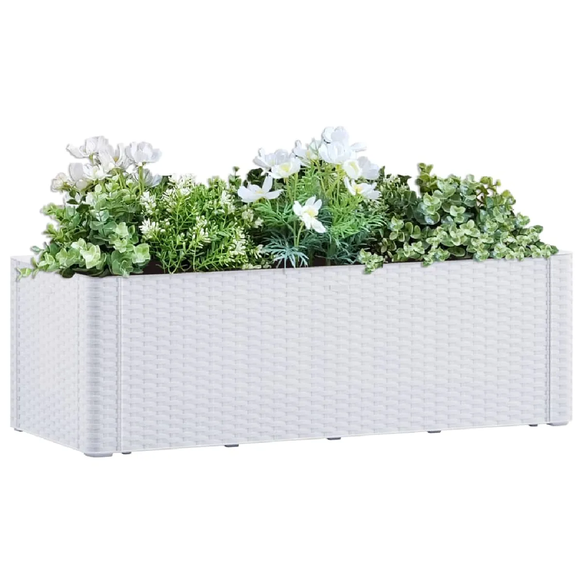 vidaXL Lit surélevé de jardin et système darrosage 100x43x33 cm - vue 2