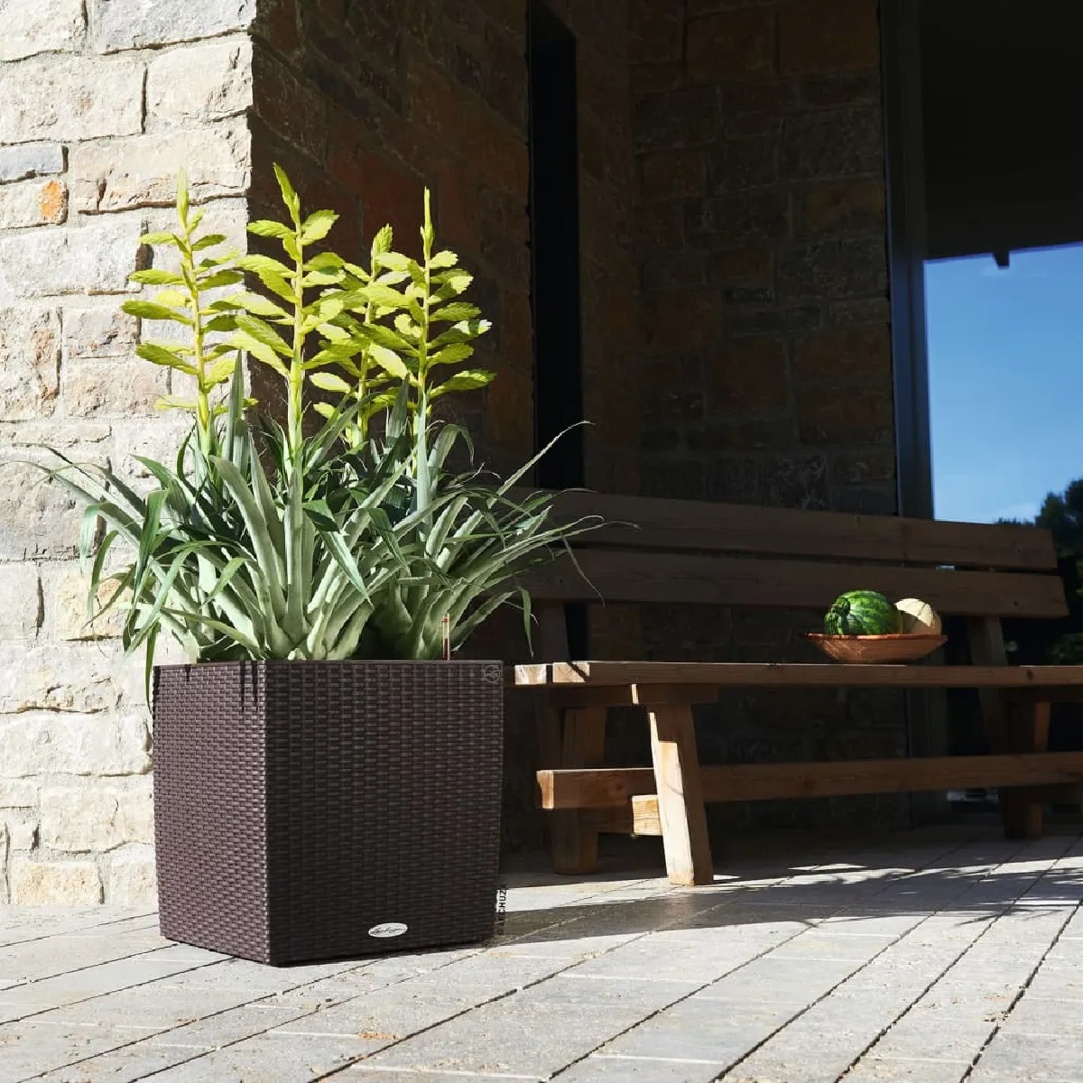Lechuza Jardinière Cube Cottage 40 All-In-One - Moka