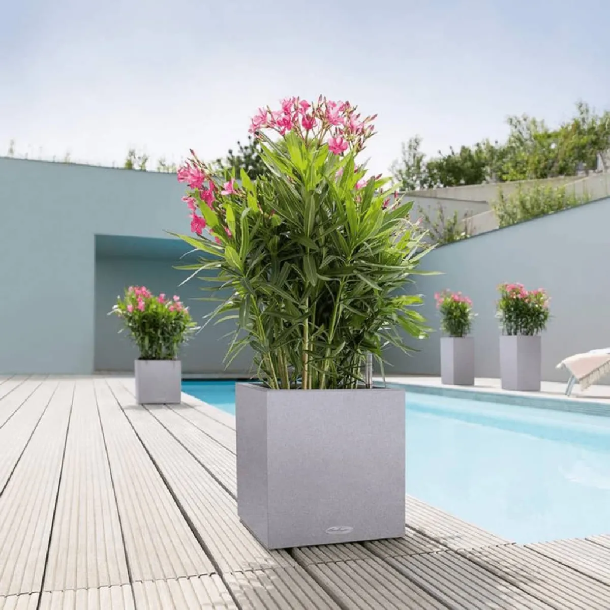 Pot Canto Stone Cube Gris pierre 30 x 30 x 30 cm - Lechuza