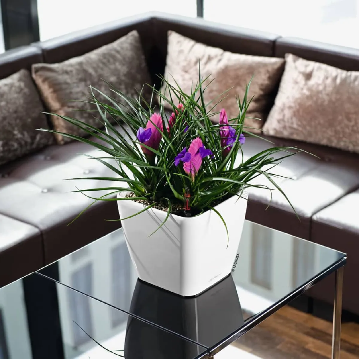 Lechuza Blanc Jardinière Quadro Ls 21 Brillant