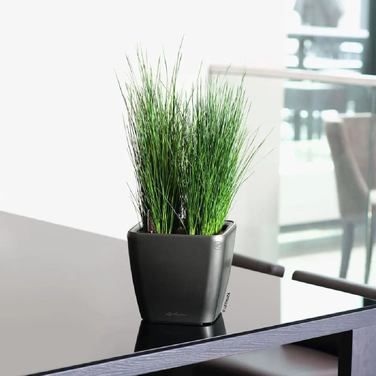Pot quadro ls premium Anthracite kit complet &oslash; 21 / 20 cm - Lechuza