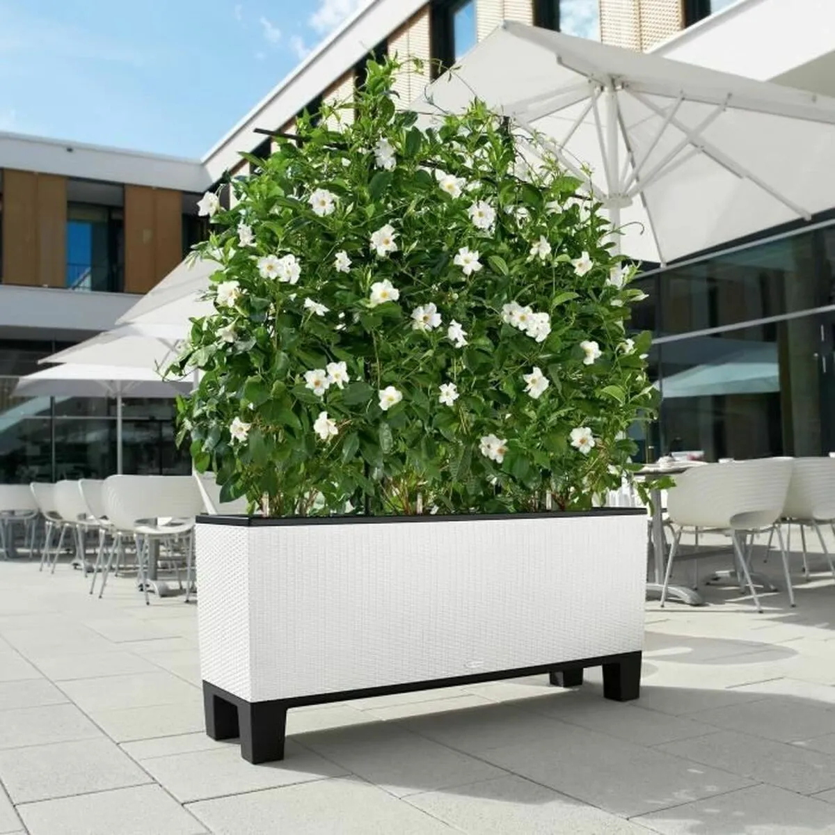 Lechuza Blanc Pot 32 X 100 X 34 Cm
