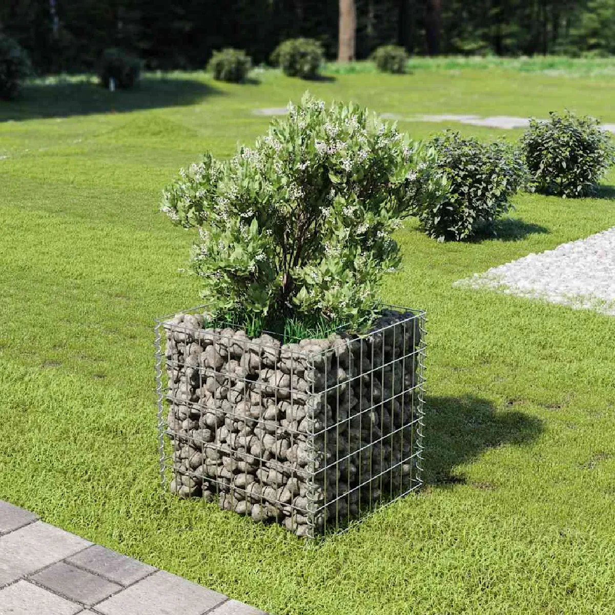 Lit surélevé à gabion VIDAXL 50x50x50 cm Acier galvanisé - vue 2