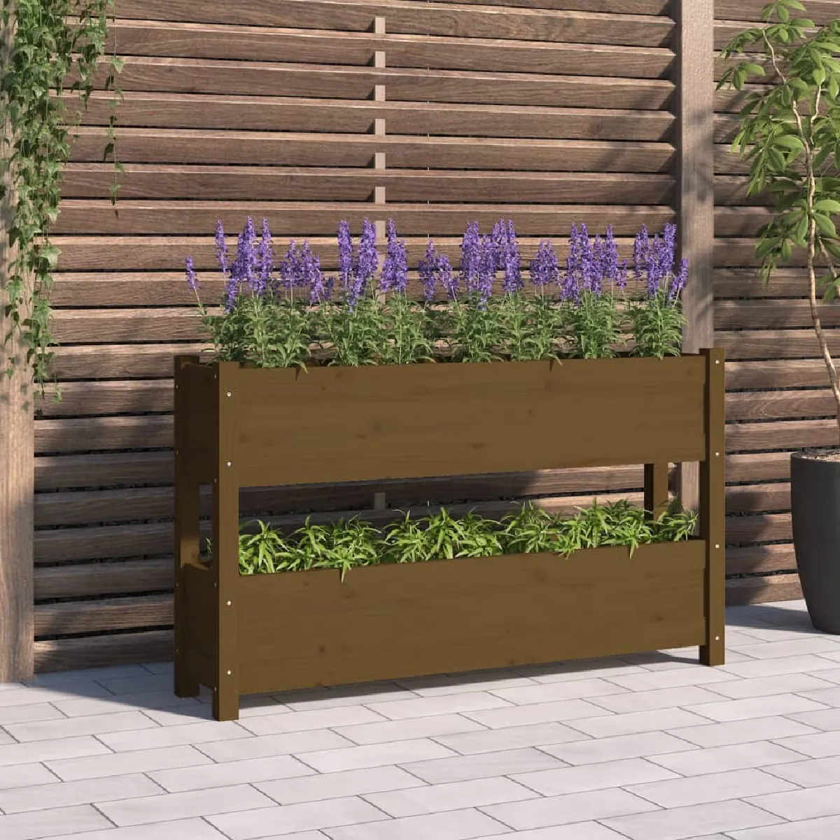 Vidaxl Marron Jardinière Miel Bois De Pin