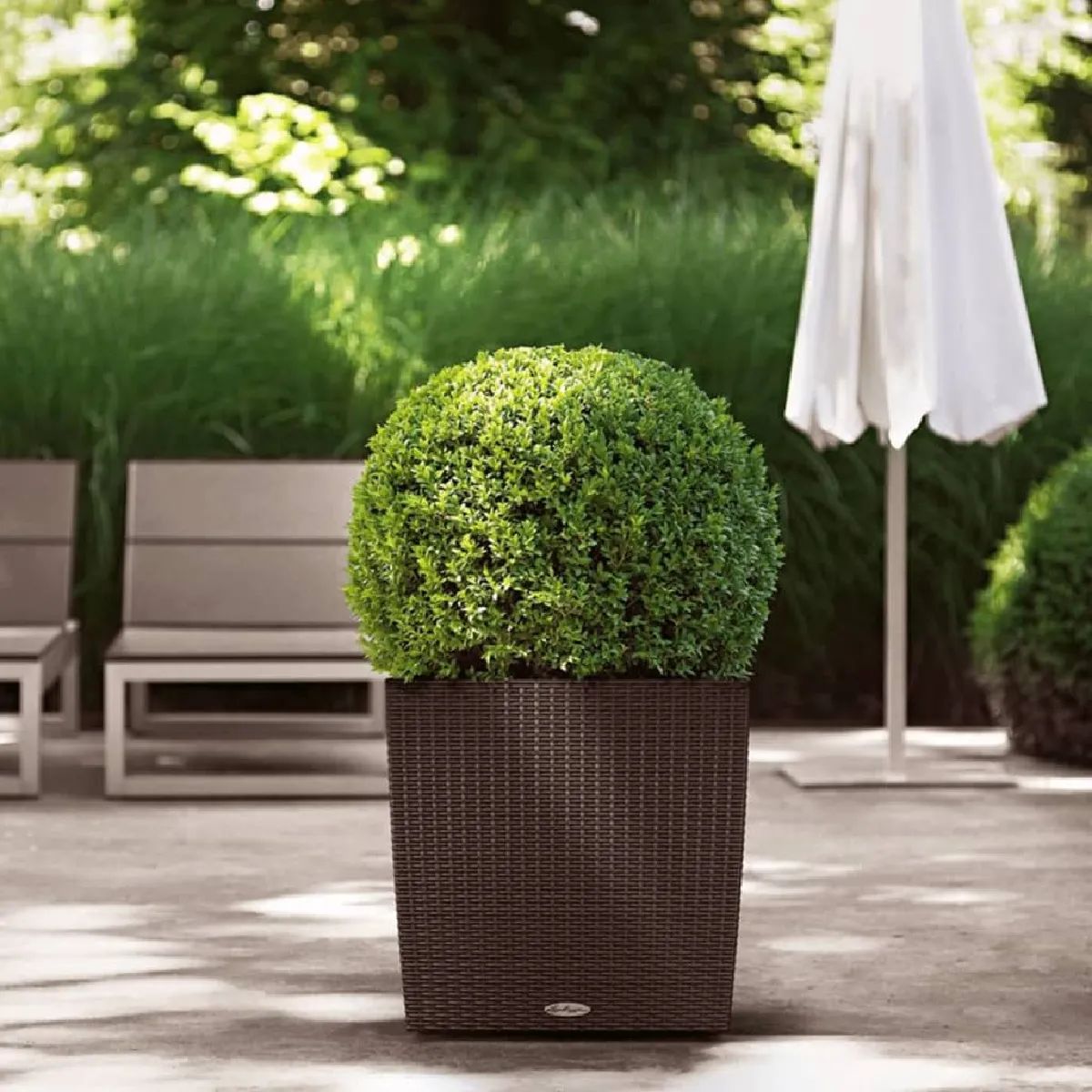 Lechuza Jardinière Cube Cottage