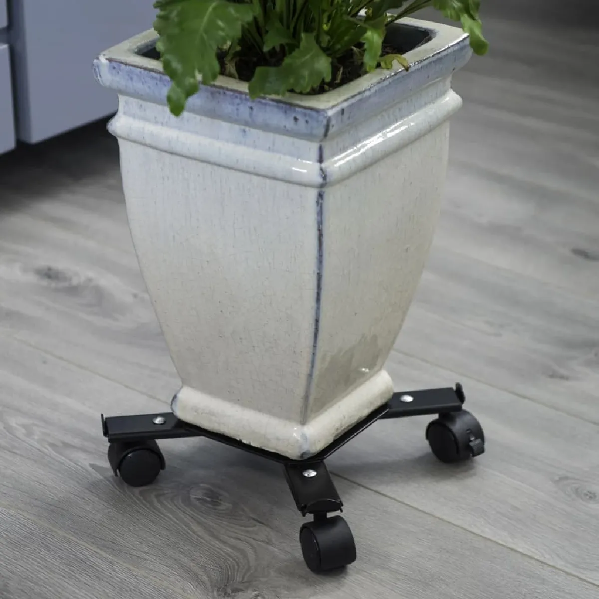 Nature Noir Support Roulant Pour Plantes