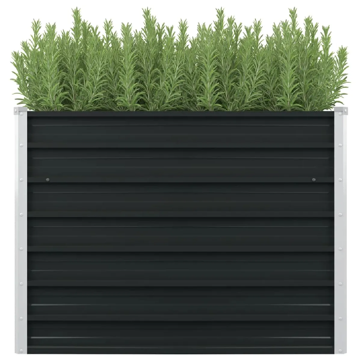 VIDAXL - Jardinière surélevée - 100x100x77 cm - Anthracite - Image 3