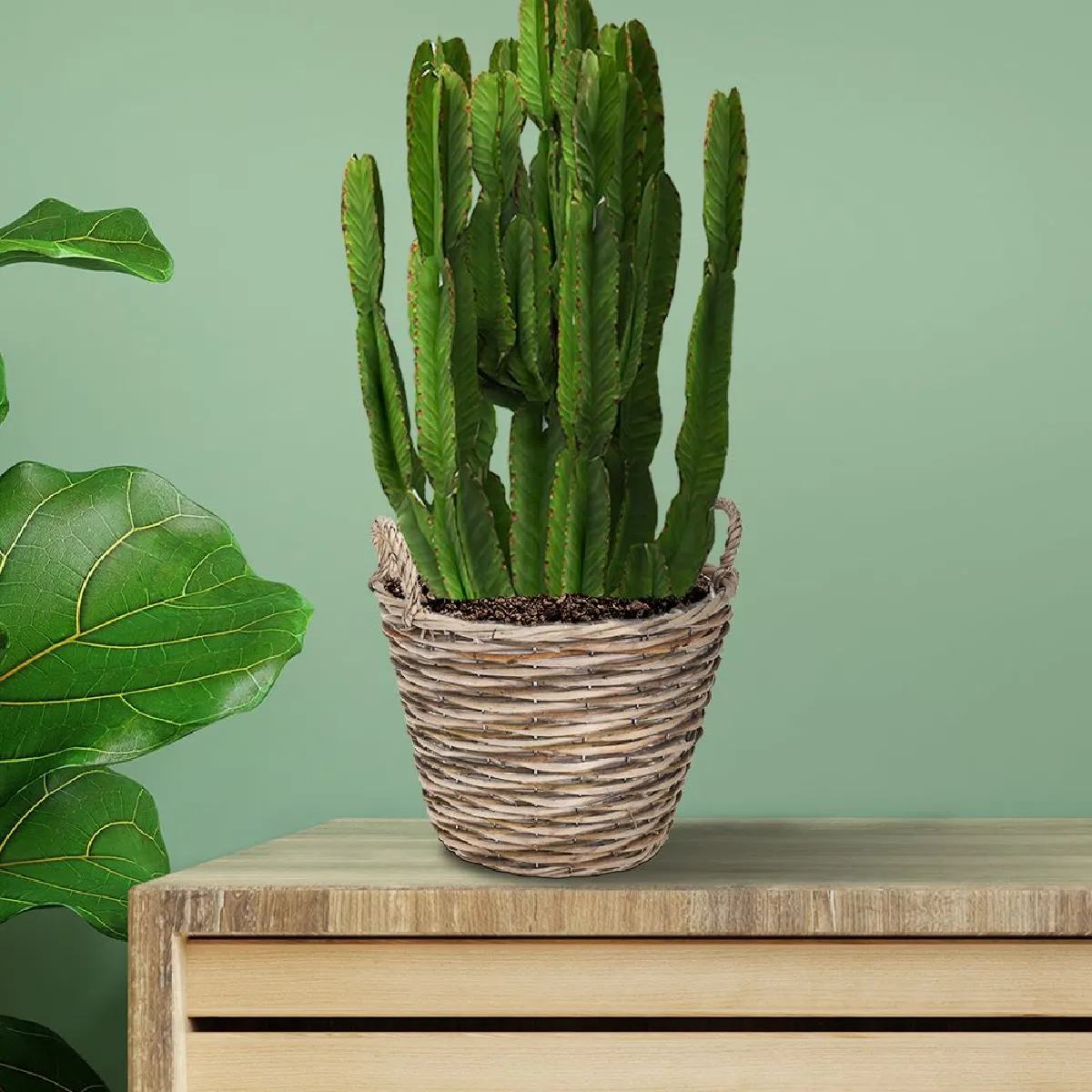 ANCIENNE TASSE THÉ CAFE SOUCOUPE PORCELAINE A FLEURS CUP OF TEA EUR 29