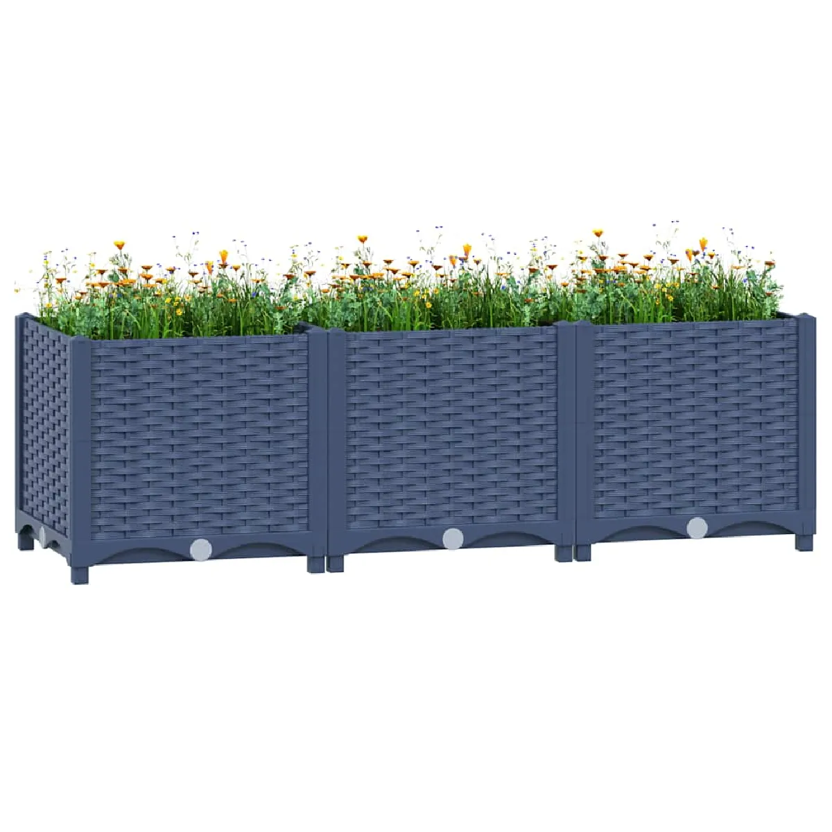 Vidaxl Lit surélevé - 120x40x38 cm - Polypropylène - Gris - Rectangulaire