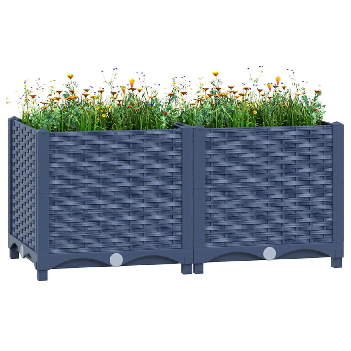 vidaXL - Carré potager surélevé - 80x40x38 cm - Image 3