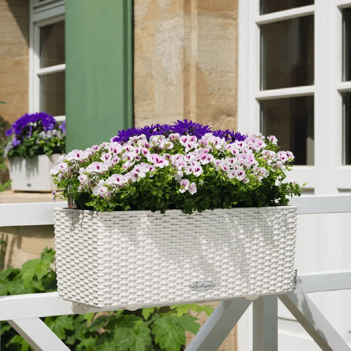 Lechuza Blanche Jardinière Balconera