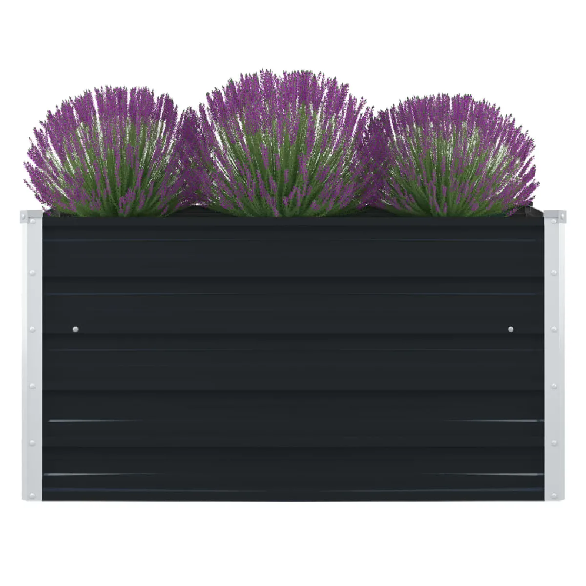 vidaXL Jardinière Bac à Plante Pot à Fleurs Bac à Fleurs Légumes Herbes Véranda Jardin Patio Extérieur 100x100x45 cm Acier 47025 - vue 3