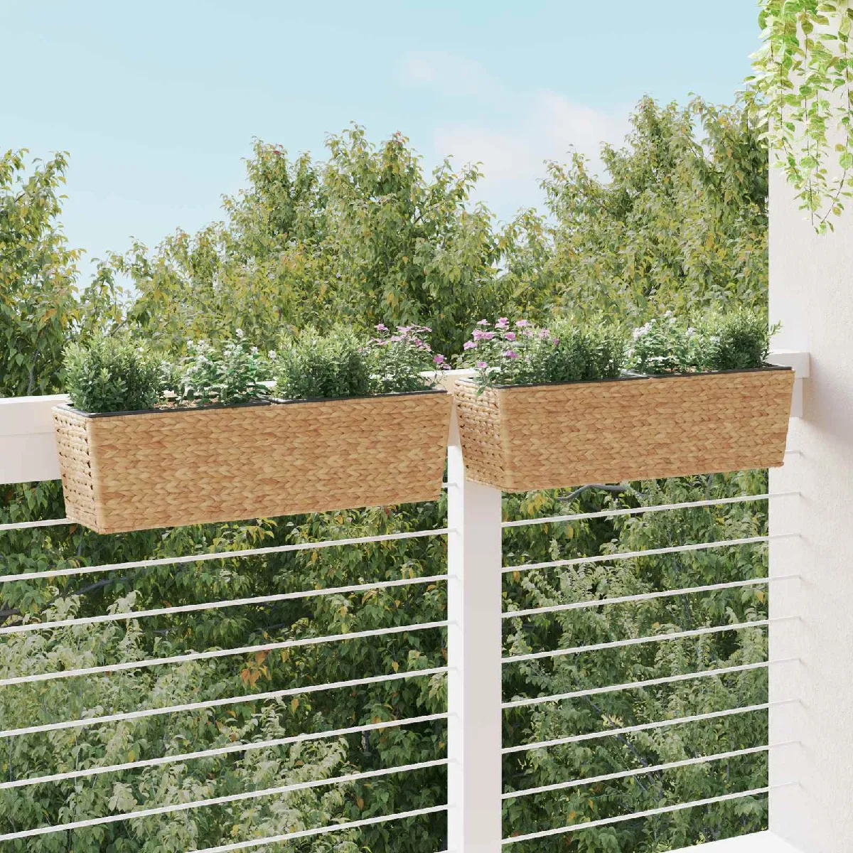 Vidaxl Marron Clair Jardinières 2 Pcs Jacinthe D Eau - Image 3