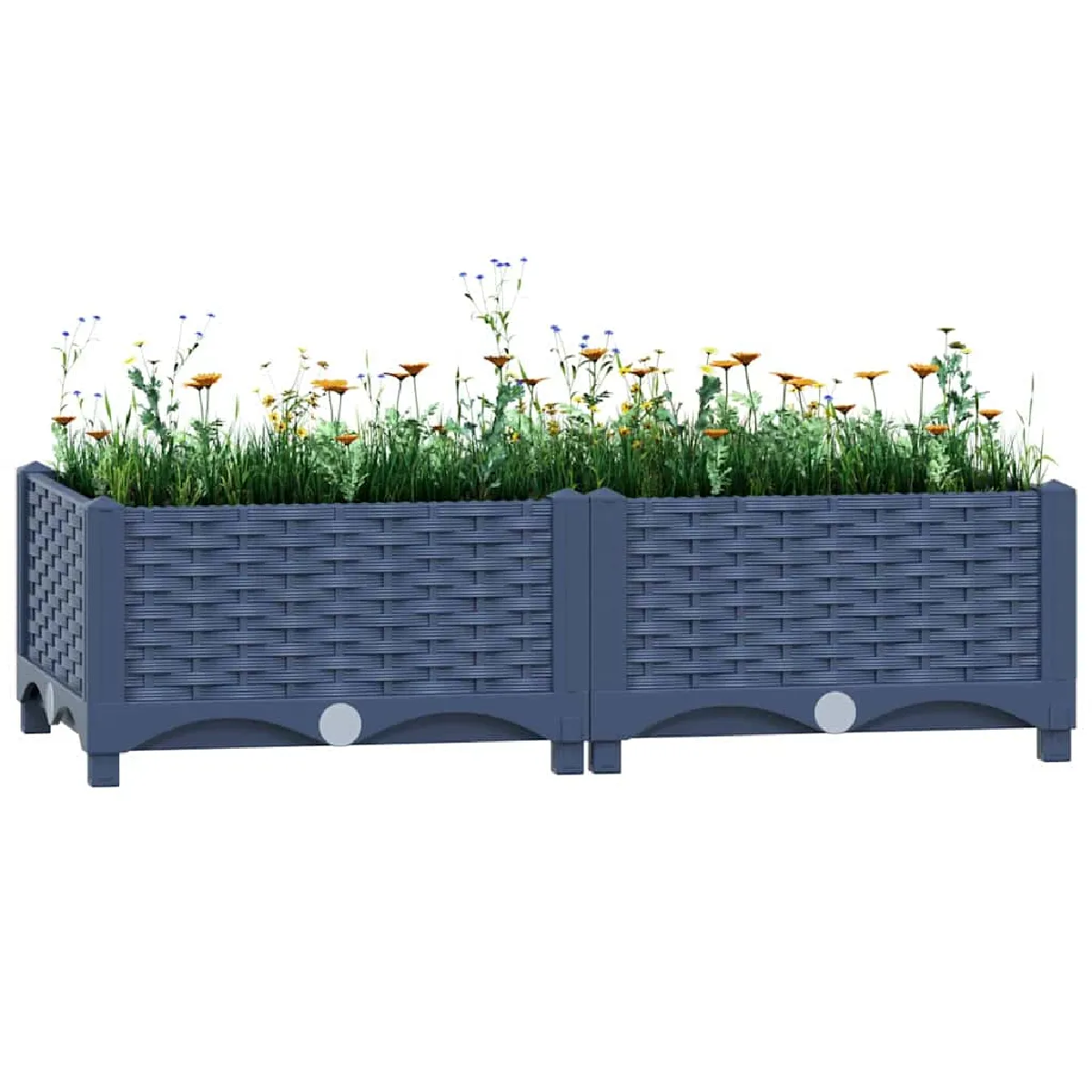 VIDAXL - Carré potager surélevé - 80x40x23 cm - Image 2