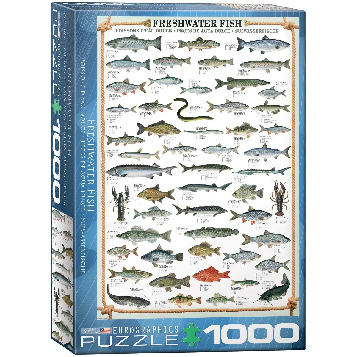 Eurographics Puzzle 1000 pièces Poissons d’eau douce